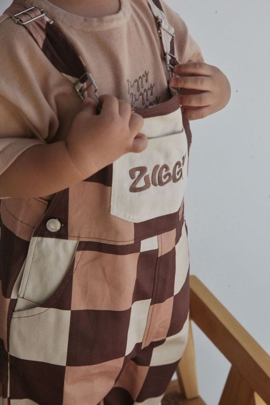 OVERALLS | CHECKS
