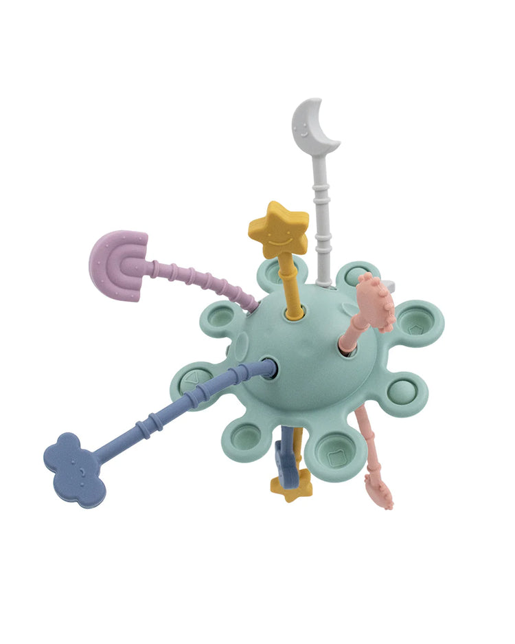 Pull String Interactive Toy