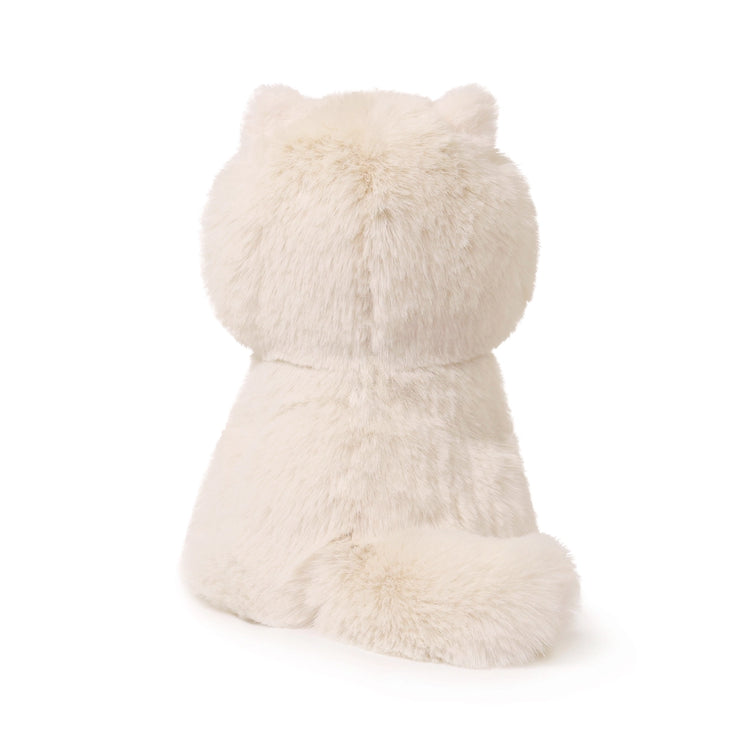 Kiki the Himalayan Cat