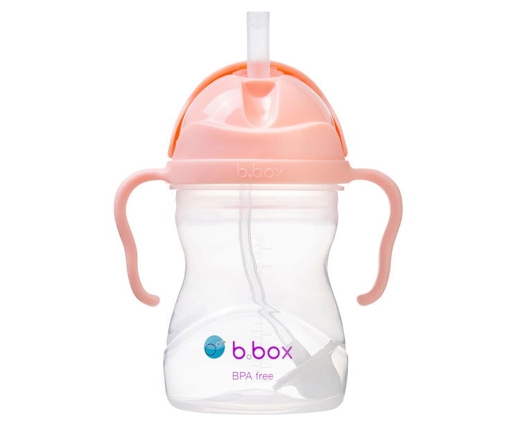 Gelato Sippy Cup