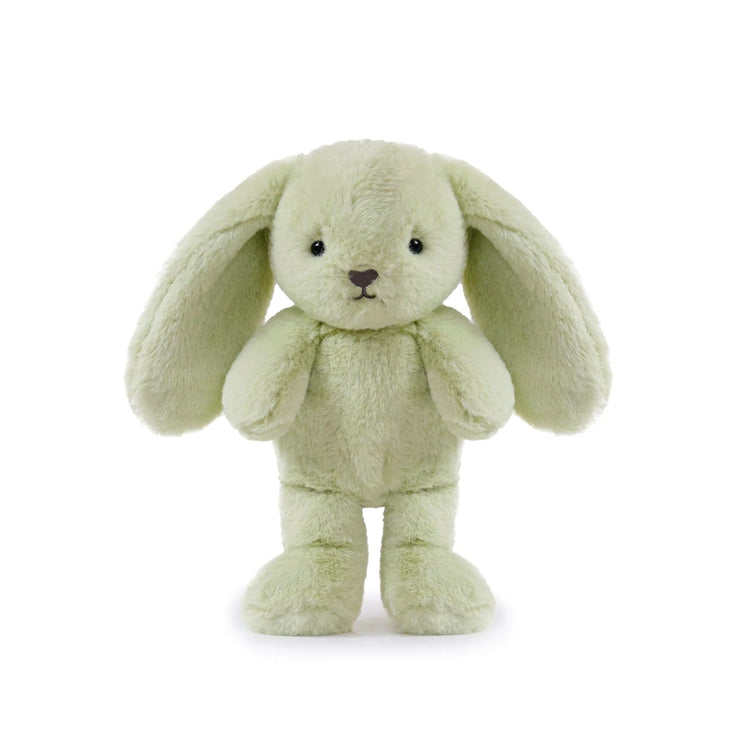 Little Clover Cottontail Bunny