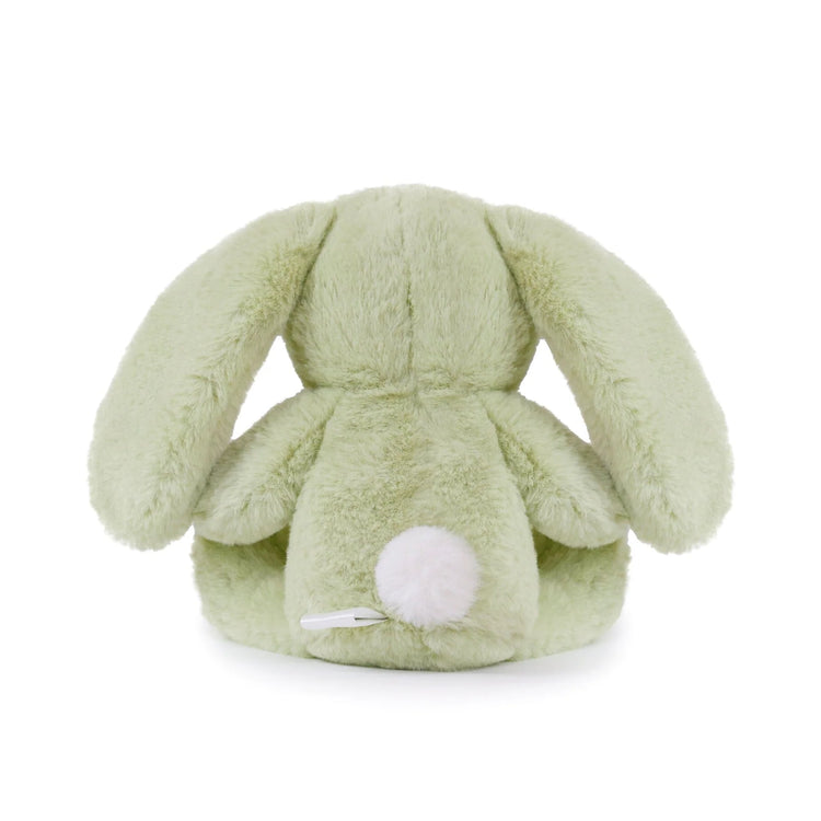 Little Clover Cottontail Bunny