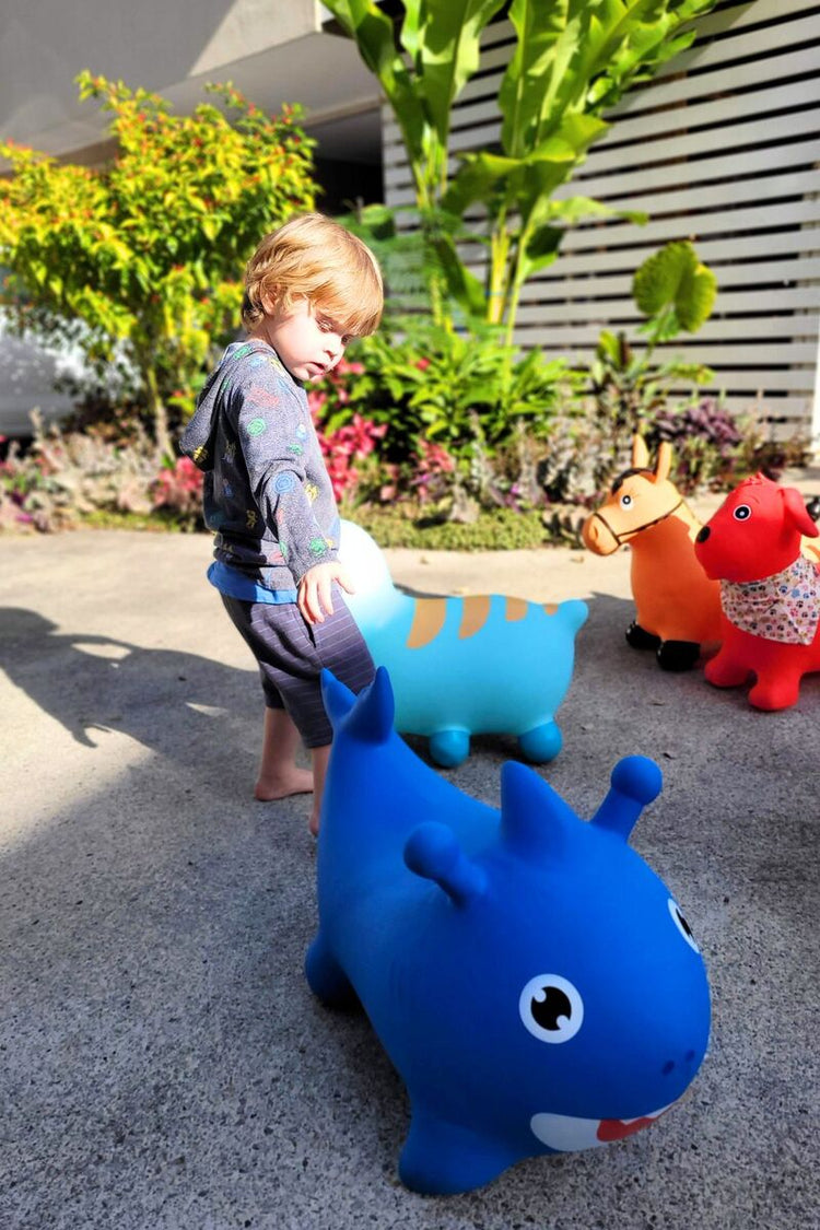 Bouncy Rider