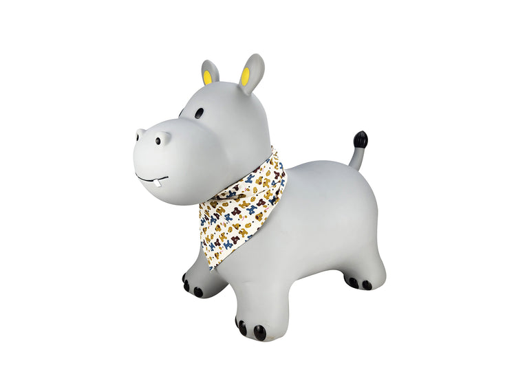 Bouncy Rider