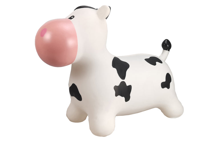 Bouncy Rider