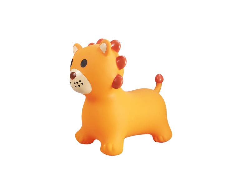 Bouncy Rider