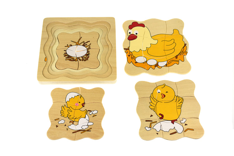 Lifecycle 4 Layer Puzzle