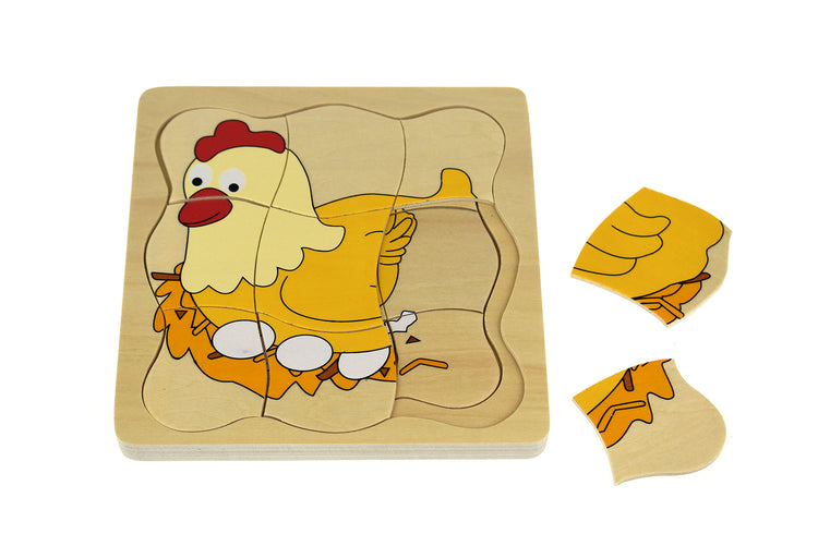 Lifecycle 4 Layer Puzzle