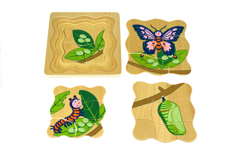 Lifecycle 4 Layer Puzzle