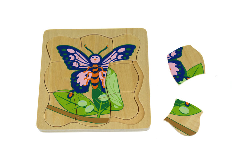 Lifecycle 4 Layer Puzzle
