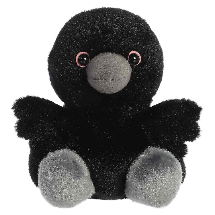 Poe Raven™