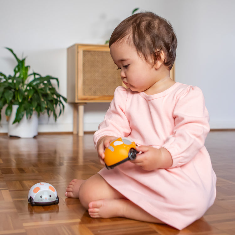 Zoomies - Cat & Mouse