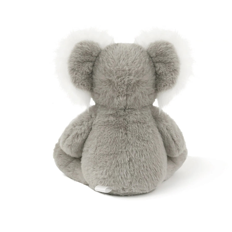 Little Kobi Koala
