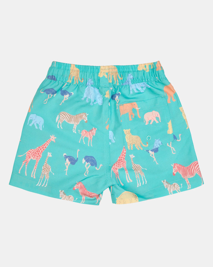 Swim Boardies Splash - Congo Seagrass