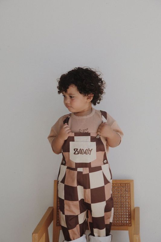 OVERALLS | CHECKS