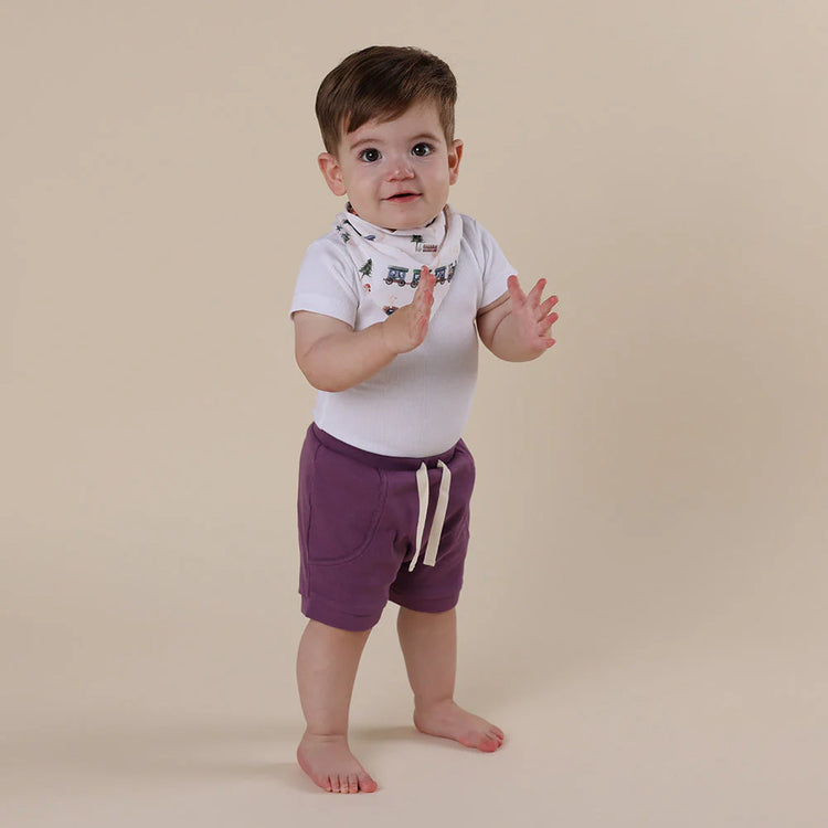 Mulberry Organic Shorts