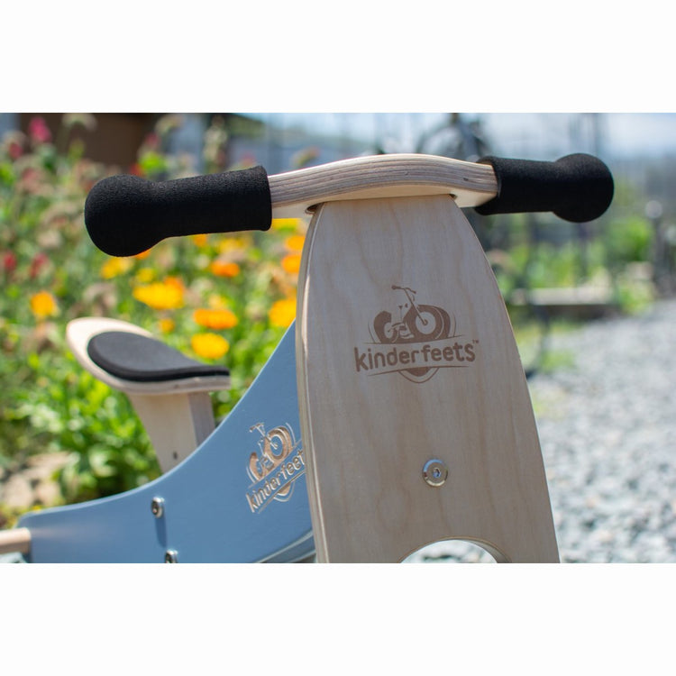 Tiny Tot Plus 2-in-1 Trike and Balance Bike - Slate Blue