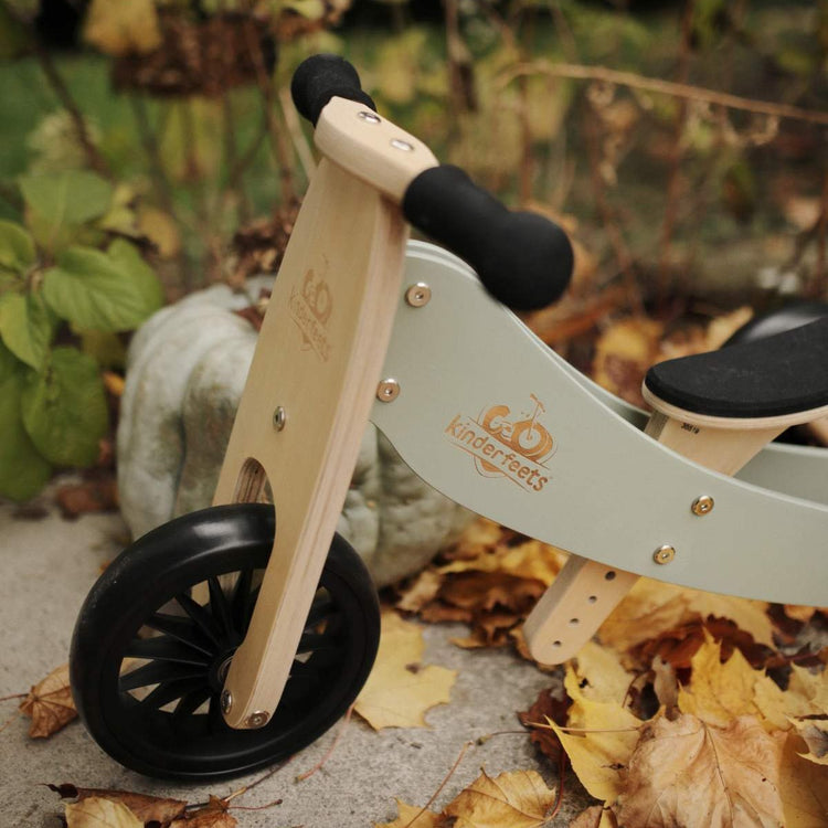 Tiny Tot Plus 2-in-1 Trike and Balance Bike - Silver Sage