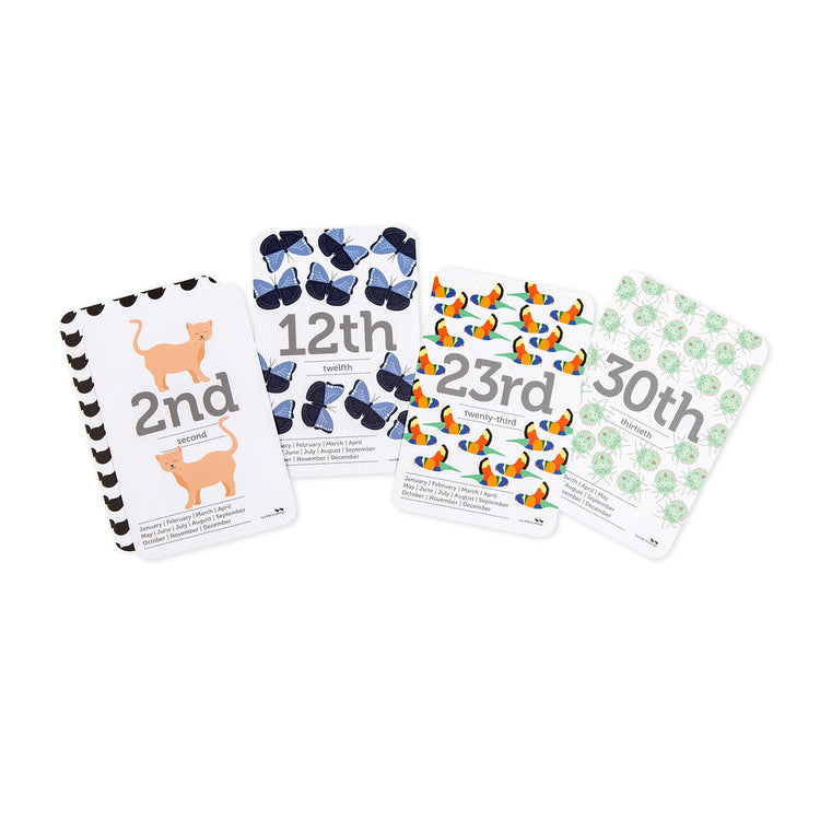 Dates of the Month Flash Cards