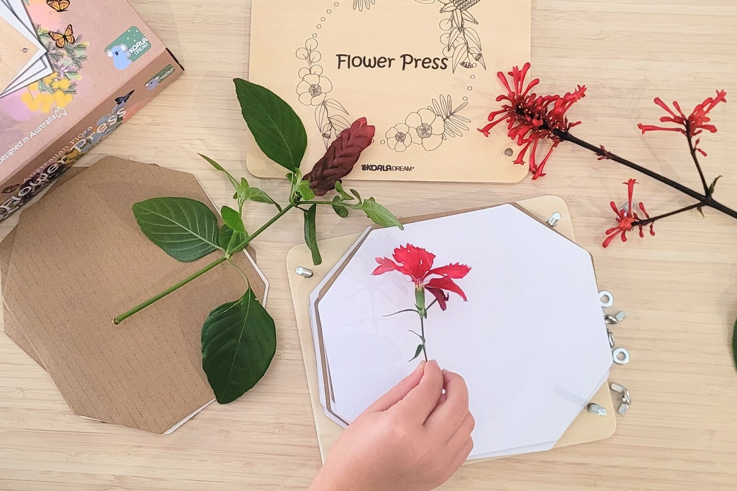 Arts & Crafts