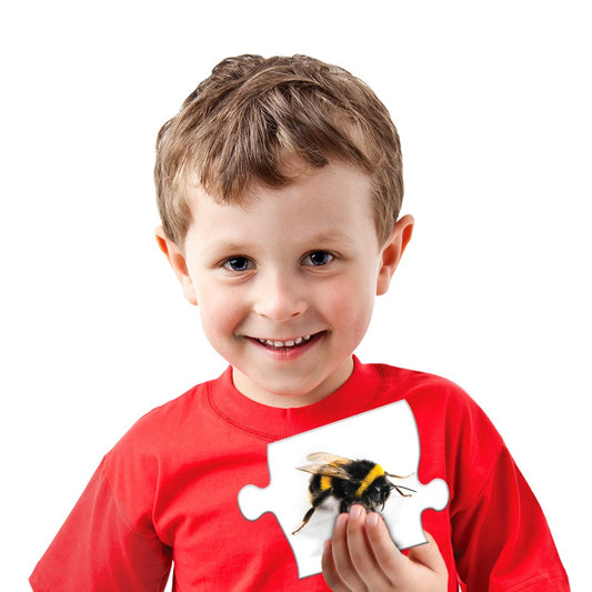 Match It! Upper & Lower Case Letters