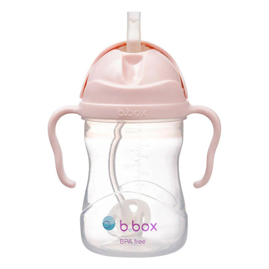 Sippy Cup