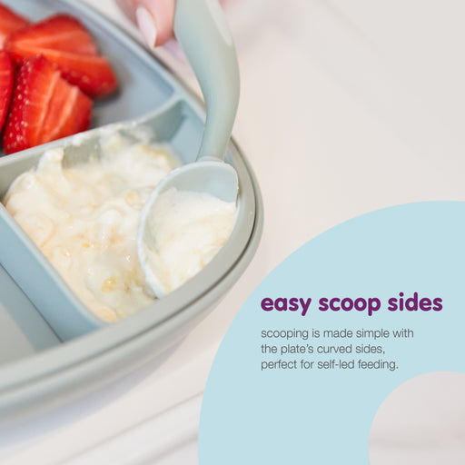 2 in 1 Suction Plate