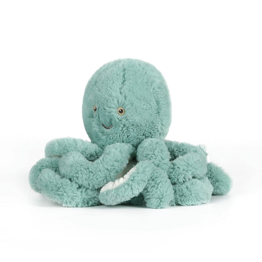 Little Reef Octopus