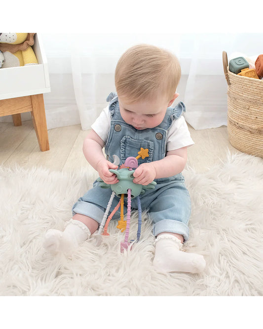 Pull String Interactive Toy