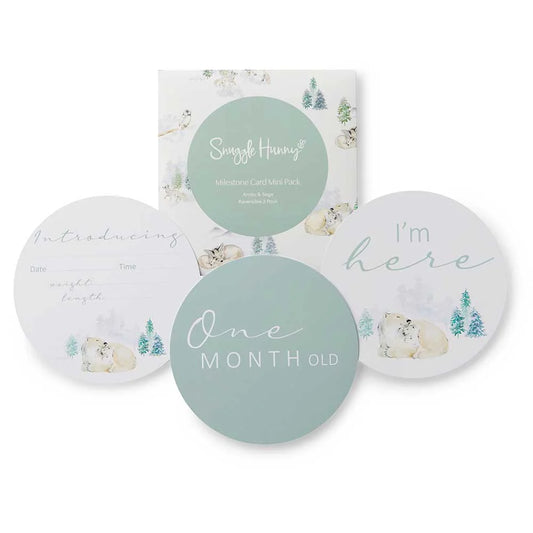 Arctic Reversible Milestone Cards 3 Pack