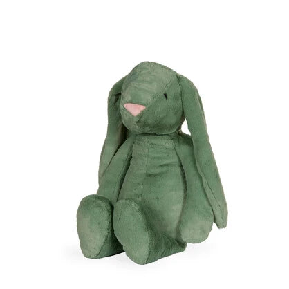 Clover Jasper Bunny