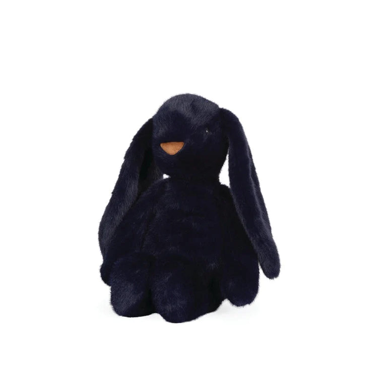 Midnight Jasper Bunny
