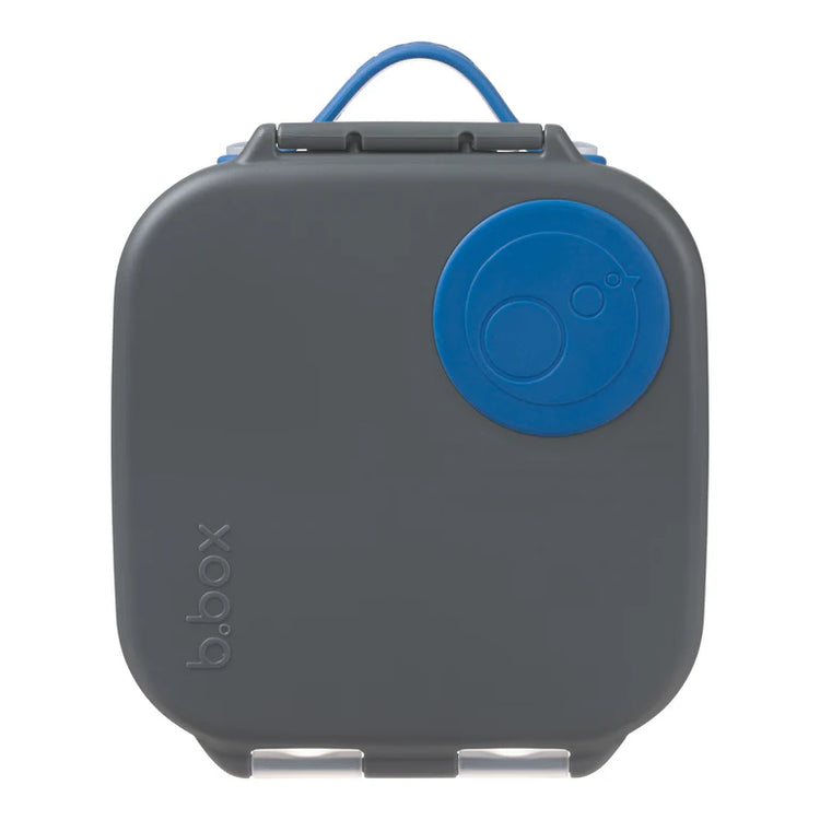 Mini Lunchbox
