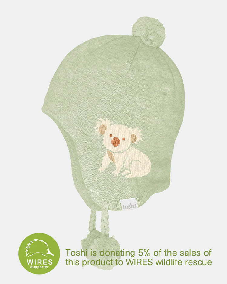 Organic Earmuff Storytime Koala