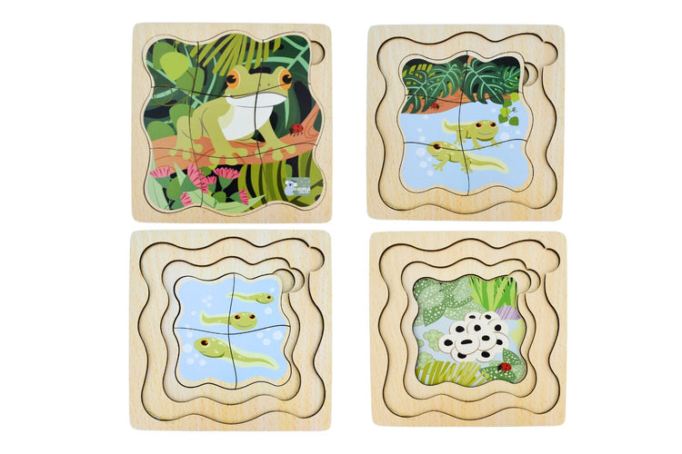 Bush Buddies Life Cycle Layer Puzzle - Frog