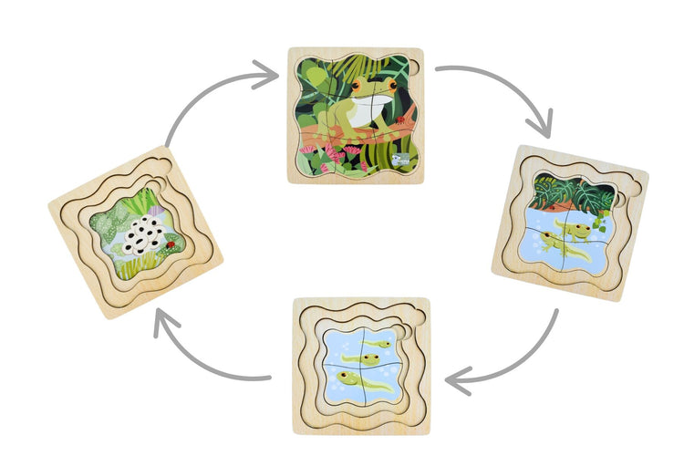 Bush Buddies Life Cycle Layer Puzzle - Frog
