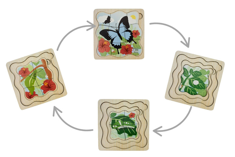 Bush Buddies Life Cycle Layer Puzzle - Butterly