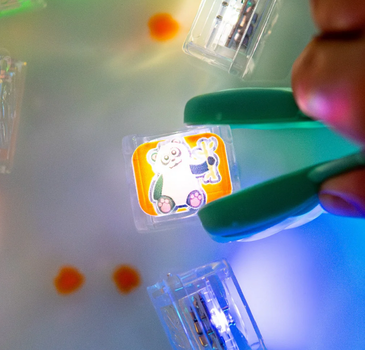 Limited Edition Light-Up Cubes, 6-Pack Zoo Animals