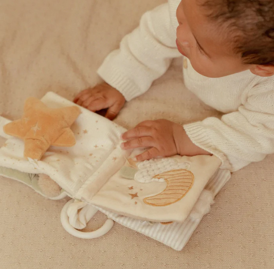 Newborn Naturals Goose Stroller Book