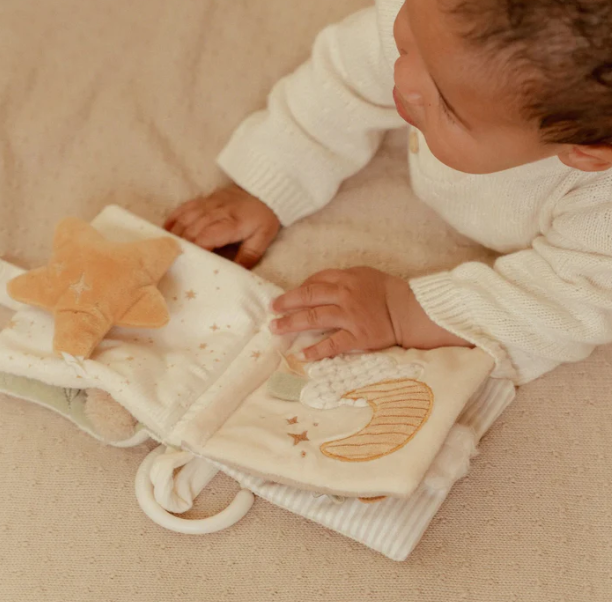 Newborn Naturals Goose Stroller Book