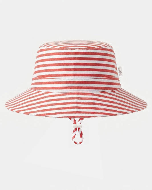 Sunhat Nautilus Lobster