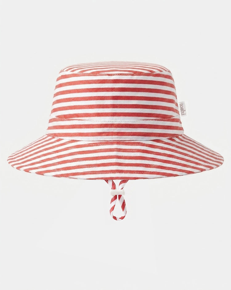 Sunhat Nautilus Lobster