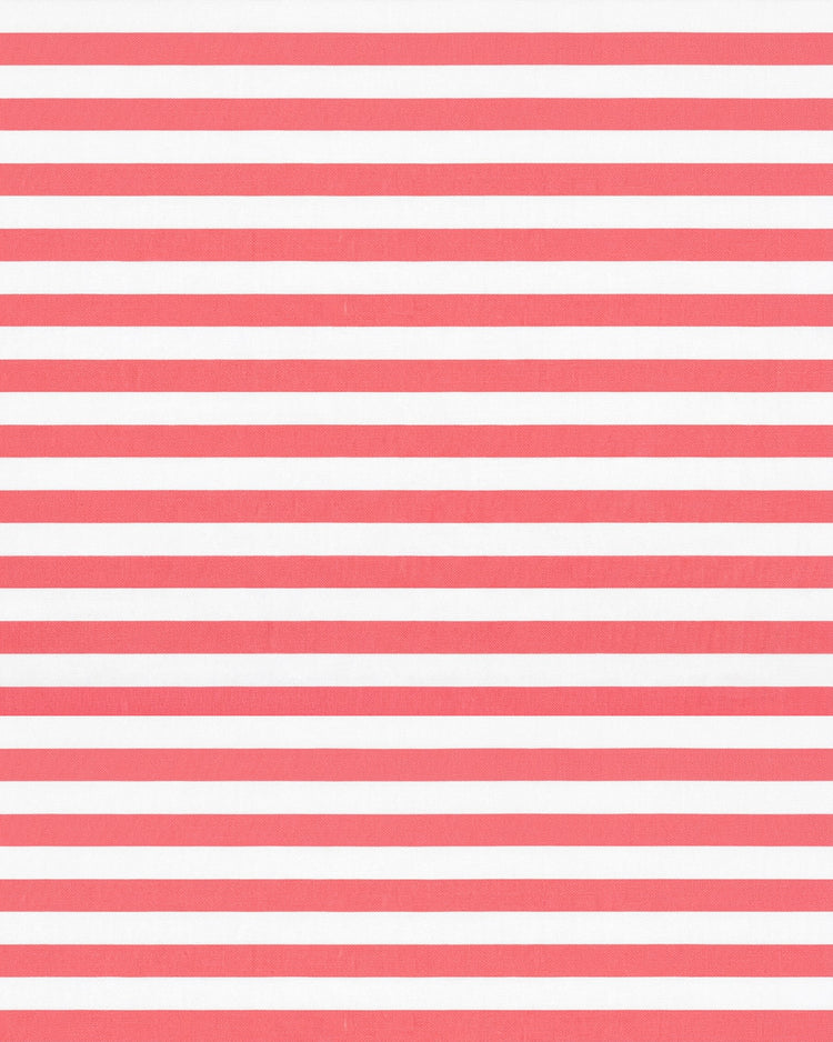 Sunhat Nautilus Lobster
