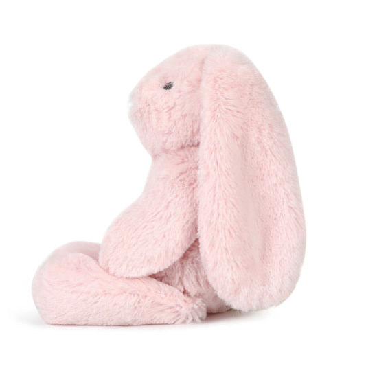 Little Betsy Bunny