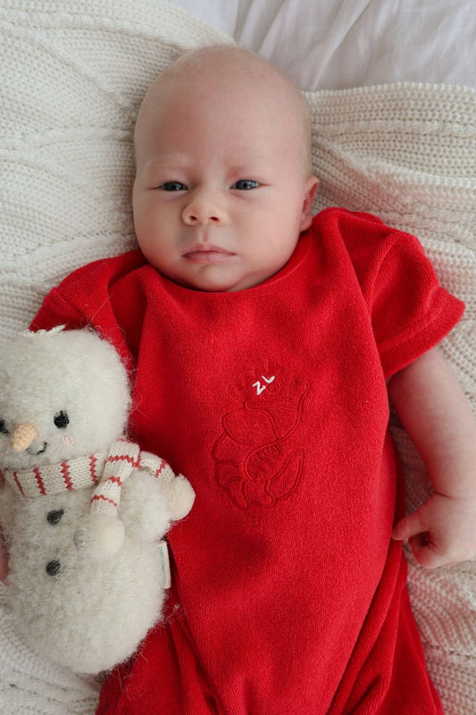 PLAYSUIT | SHAWN THE PRAWN