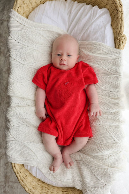 PLAYSUIT | SHAWN THE PRAWN