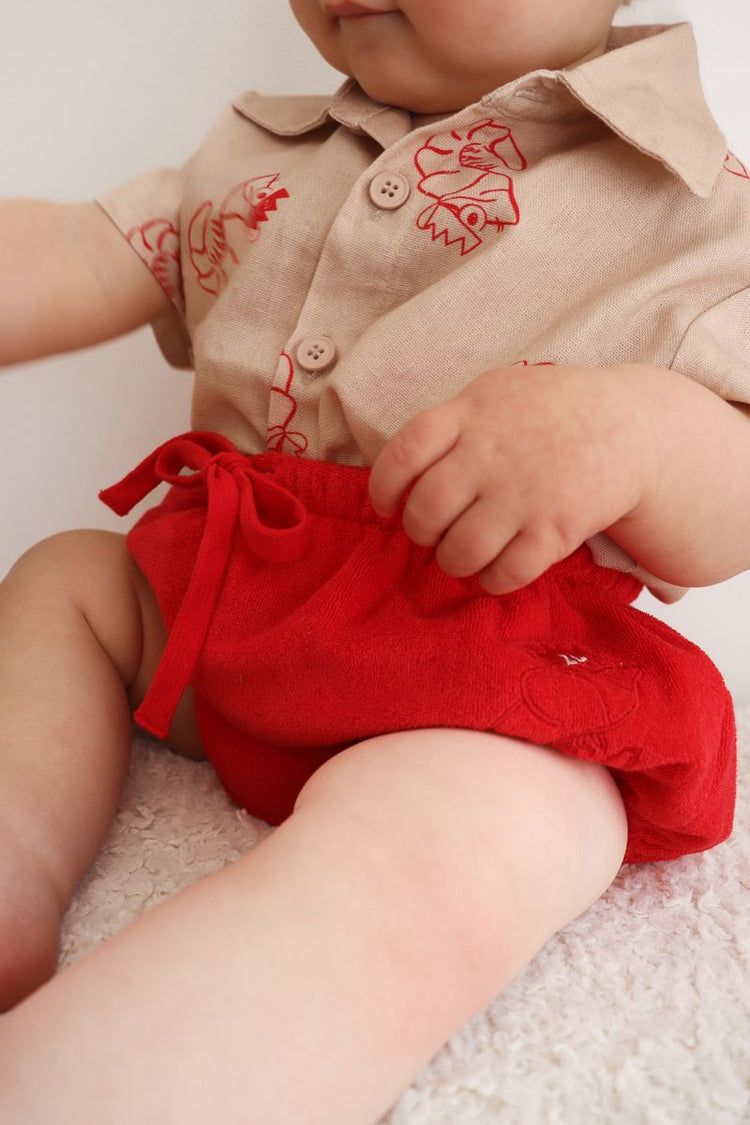 BLOOMERS | SHAWN THE PRAWN