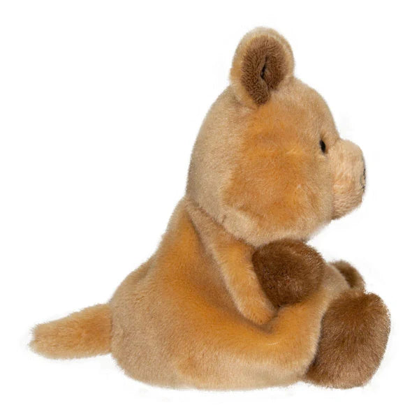Wadjemup Quokka