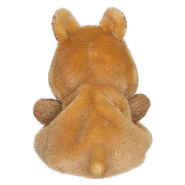Wadjemup Quokka