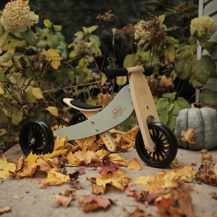Tiny Tot Plus 2-in-1 Trike and Balance Bike - Silver Sage